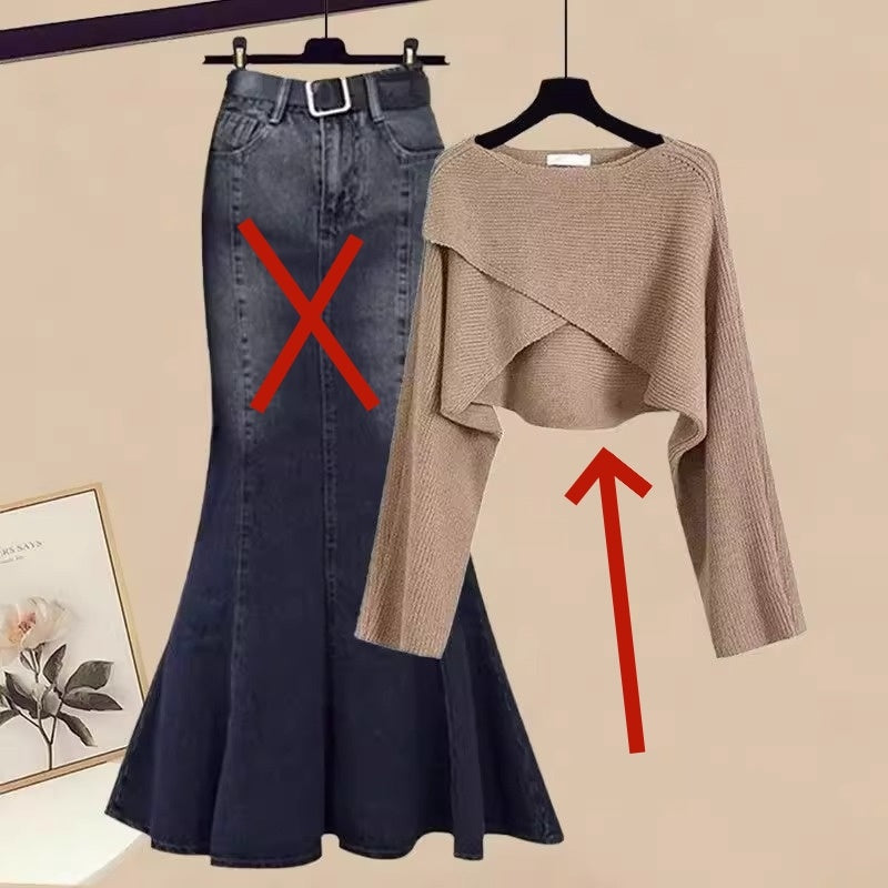 Autumn Elegant Women's All-matching Long Sleeve Top Fishtail Skirt Two-piece Suit SAM73